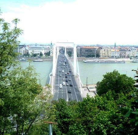 мост Елизаветы