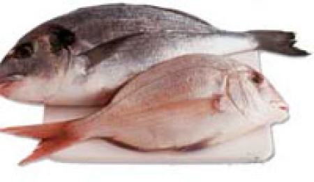 Жирная рыба как средство защиты от солнечных ожогов